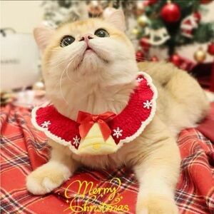 Pet Chrochet Collar/Scarf Christmas 🎄 Dogs/Cats